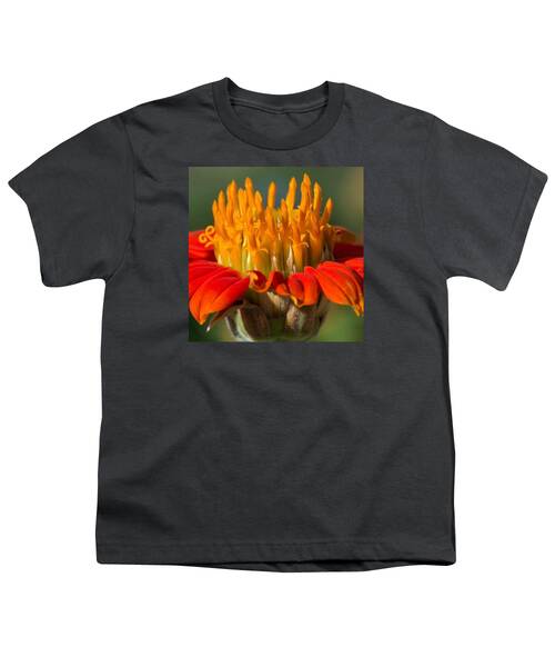 Desert Bloom Youth T-Shirts