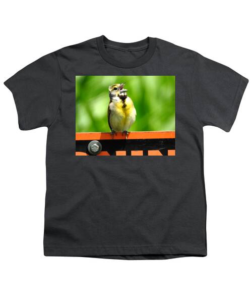 Dickcissel Youth T-Shirts