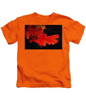 Fall Trees Highlighted By The Sun Kids T-Shirts