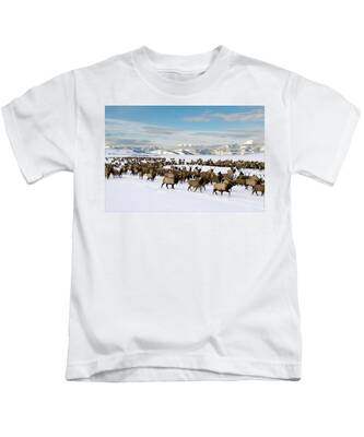 National Elk Refuge Kids T-Shirts
