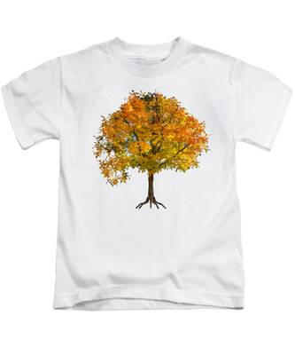 Autumn In New England Kids T-Shirts