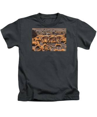 Atacama Desert Kids T-Shirts