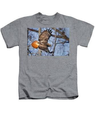 Redtail Hawk Kids T-Shirts