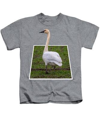 Designs Similar to Portrait of a Swan Out of Frame