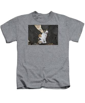 Calico Kitten Kids T-Shirts
