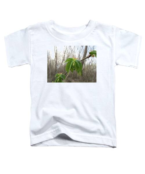 Elm Toddler T-Shirts