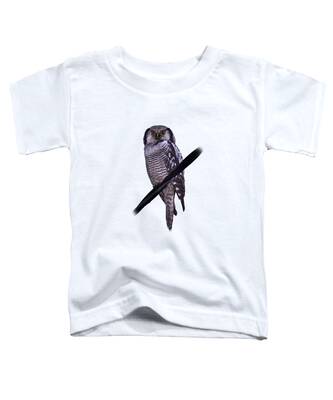 Northern Hawk Owl Toddler T-Shirts