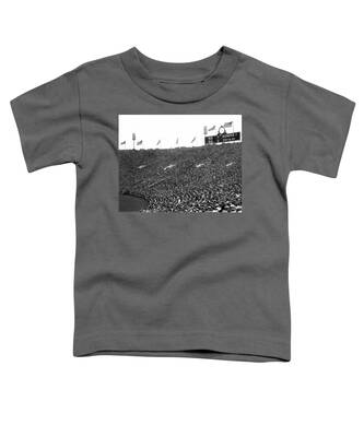 Soldier Field Toddler T-Shirts