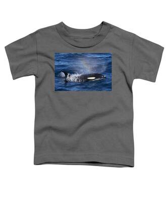 Atlantic Killer Whale Toddler T-Shirts