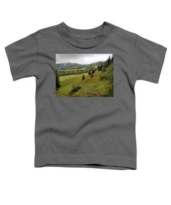 Mountain View Toddler T-Shirts