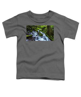 Columbia River Gorge Toddler T-Shirts