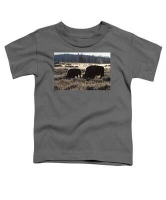 Designs Similar to Bison Cow And Calf