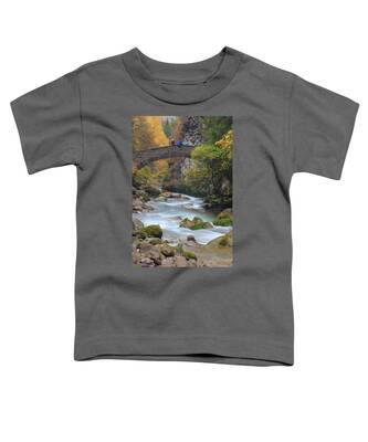Mount Dora Digital Art Toddler T-Shirts
