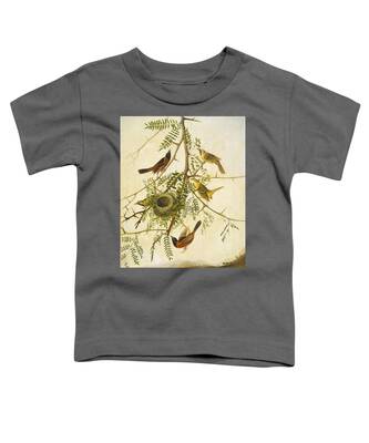 Orchard Oriole Toddler T-Shirts