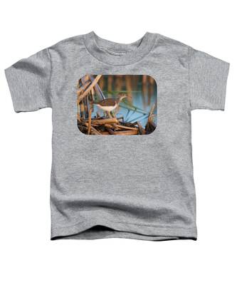 Spotted Sandpiper Toddler T-Shirts