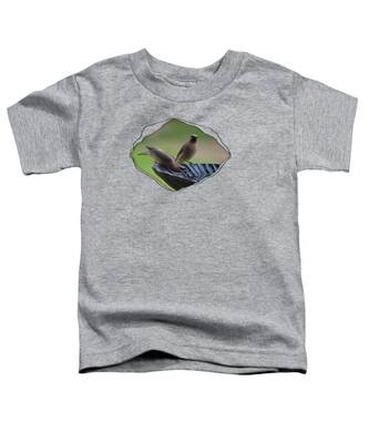 Cedar Wax Wing Toddler T-Shirts