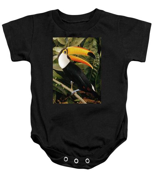 Toco Toucan Baby Onesies Fine Art America Toco Toucan Baby Onesies Fine Art America