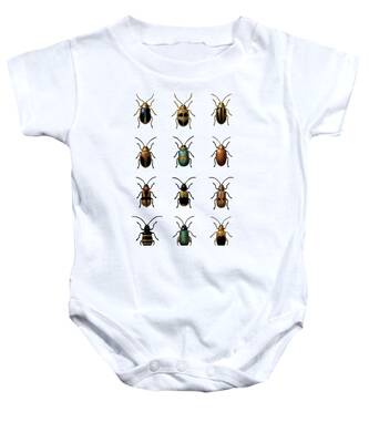 Insect Collection Baby Onesies