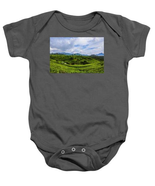 Nature Seekers Baby Onesies