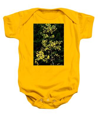 Picea Rubens Baby Onesies