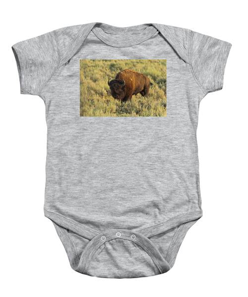 Bison Bison Athabascae Baby Onesies