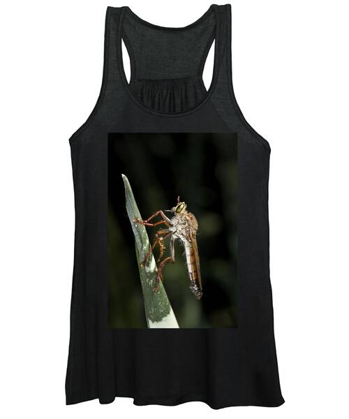 Robber Fly Women's Tank Tops