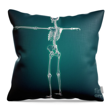 https://render.fineartamerica.com/images/rendered/search/throw-pillow/images-medium-5/conceptual-image-of-human-skeletal-stocktrek-images.jpg
