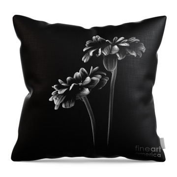Black and White Big Bow Pillow Decorative Throw Pillow Modern Accent Pillow  – Daisy Manor