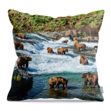 Grizzly Bear Throw Pillows