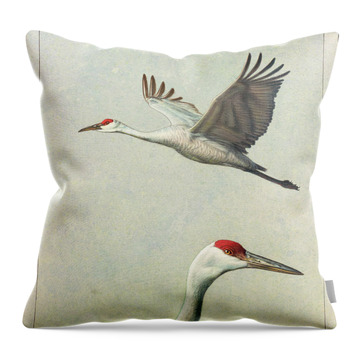 Crane Throw Pillows