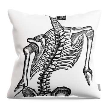Type of scoliosis of spine Throw Pillow for Sale by Rosaliartbook
