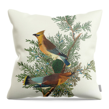 Blue Bird Perched on a Rock - Nature Photography Throw Pillow by Noveltees