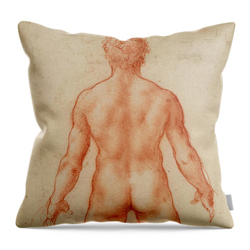 Pelvic Diaphram Of Human Female #1 Throw Pillow by Stocktrek Images - Fine  Art America