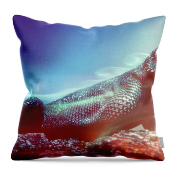 Facing the Fire - Throw Pillow Product by Matthias Zegveld
