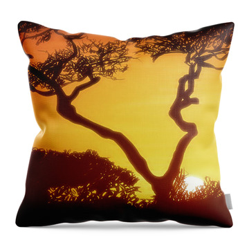 Incredible Africa - Throw Pillow Product by Matthias Zegveld