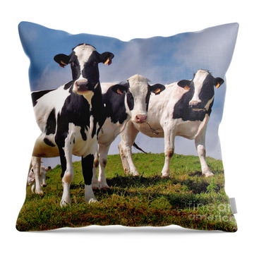 Cows Throw Pillows