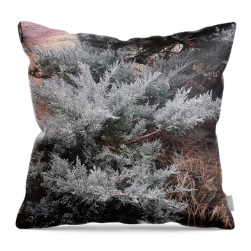 Frost Throw Pillows