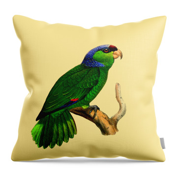 Parakeet Throw Pillows