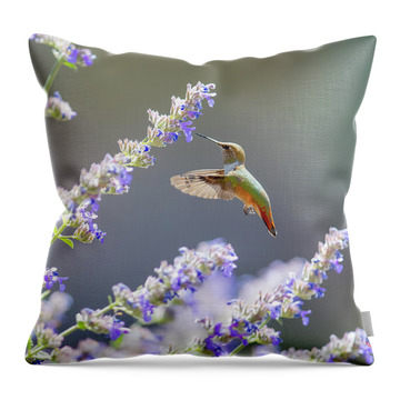 Blue Bird Perched on a Rock - Nature Photography Throw Pillow by Noveltees