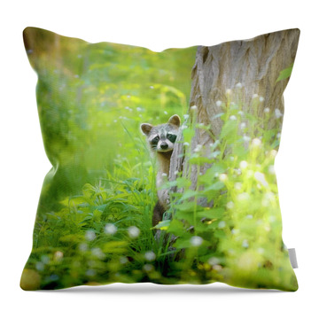 Raccoon Throw Pillows