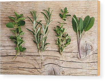 Designs Similar to Assorted fresh Herbs #1