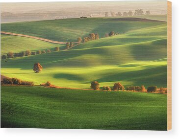 Designs Similar to Green Fields #1