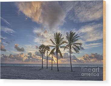 Biscayne Wood Prints