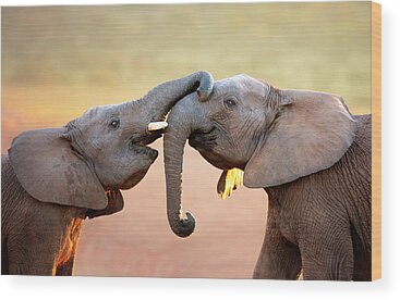 African Elephant Wood Prints