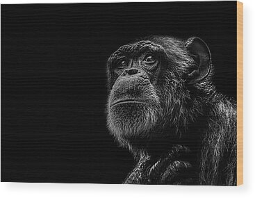 Ape Wood Prints