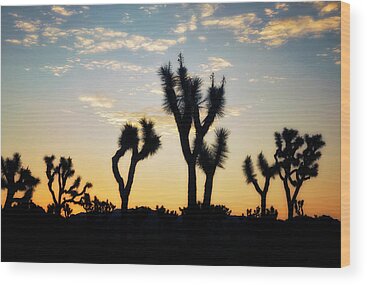 Coachella Valley Wood Prints