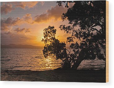 Wallis Lake Nsw Australia Wood Prints