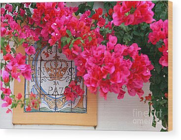 Designs Similar to Red bougainvilleas