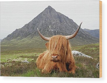 Scottish Mountains Wood Prints