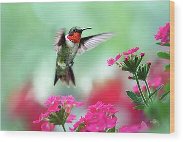 Humming Birds Wood Prints